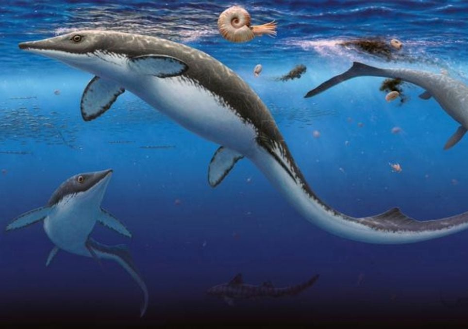 artist reconstruction