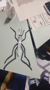 FAPEAM _ Protagonismo estudantil na prevenção da dengue _ FOTO_ ADRIANA DA SILVA (4)