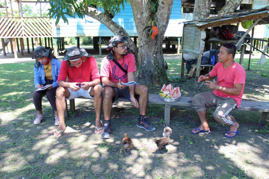 Fapeam pesquisa Açaí  e Mapati Foto arquivo Pesquisador Jonas Dias de Souza (8)