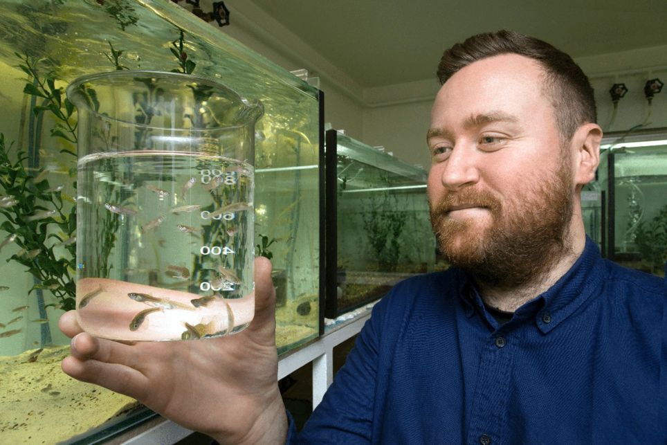 Web of science, scopus, elsevier