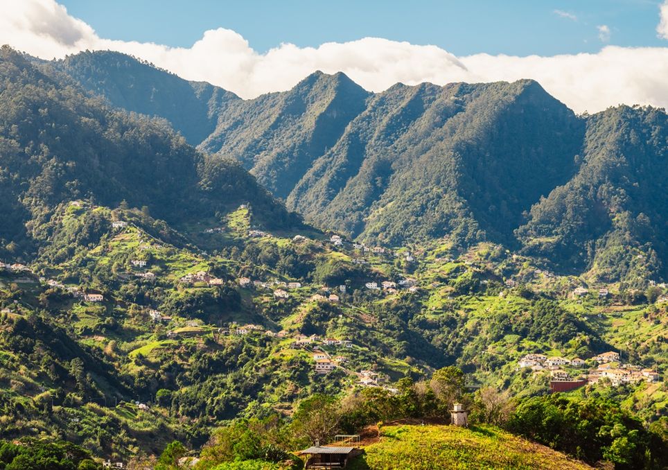 Vereda do Larano, ("Penhascas Verdes"), Madeira, Portugal.