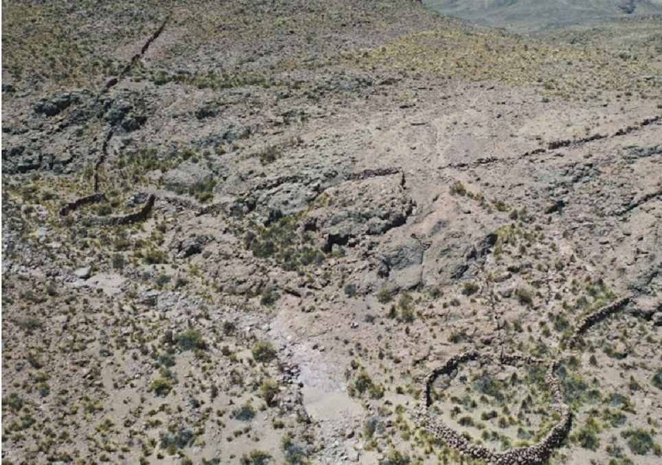 armadilhas de caça de chacu
