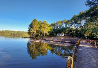 Maior que 60 Ibirapueras: São Paulo terá um novo parque para preservar a Mata Atlântica