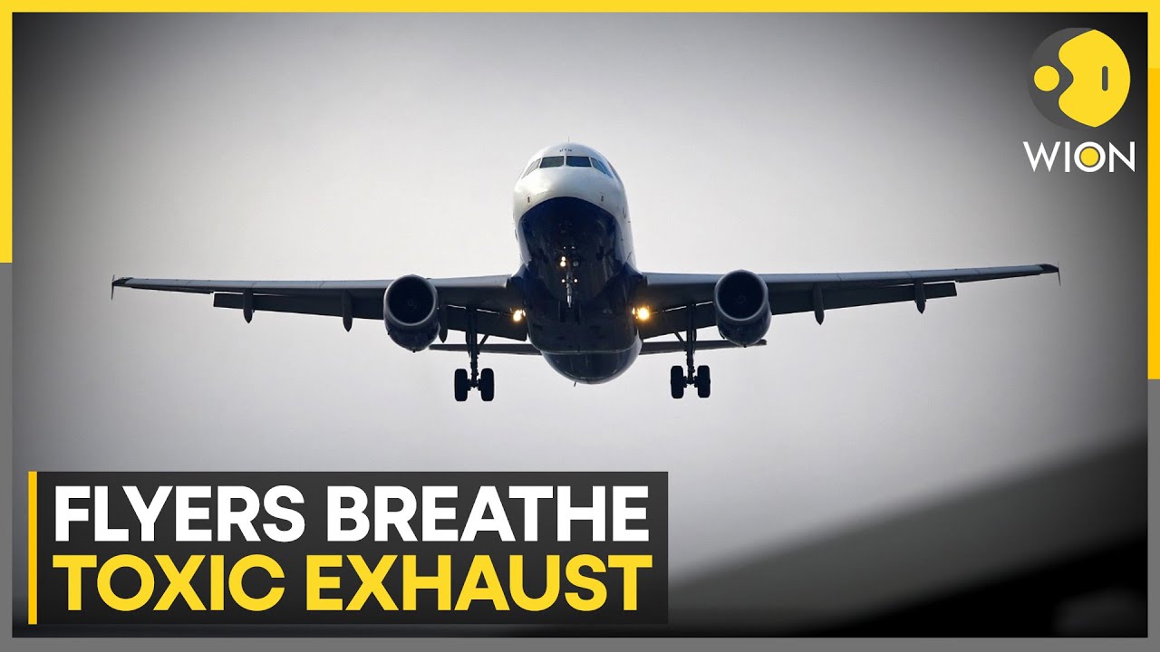 youtube video id=Crjg2cLrZ3g