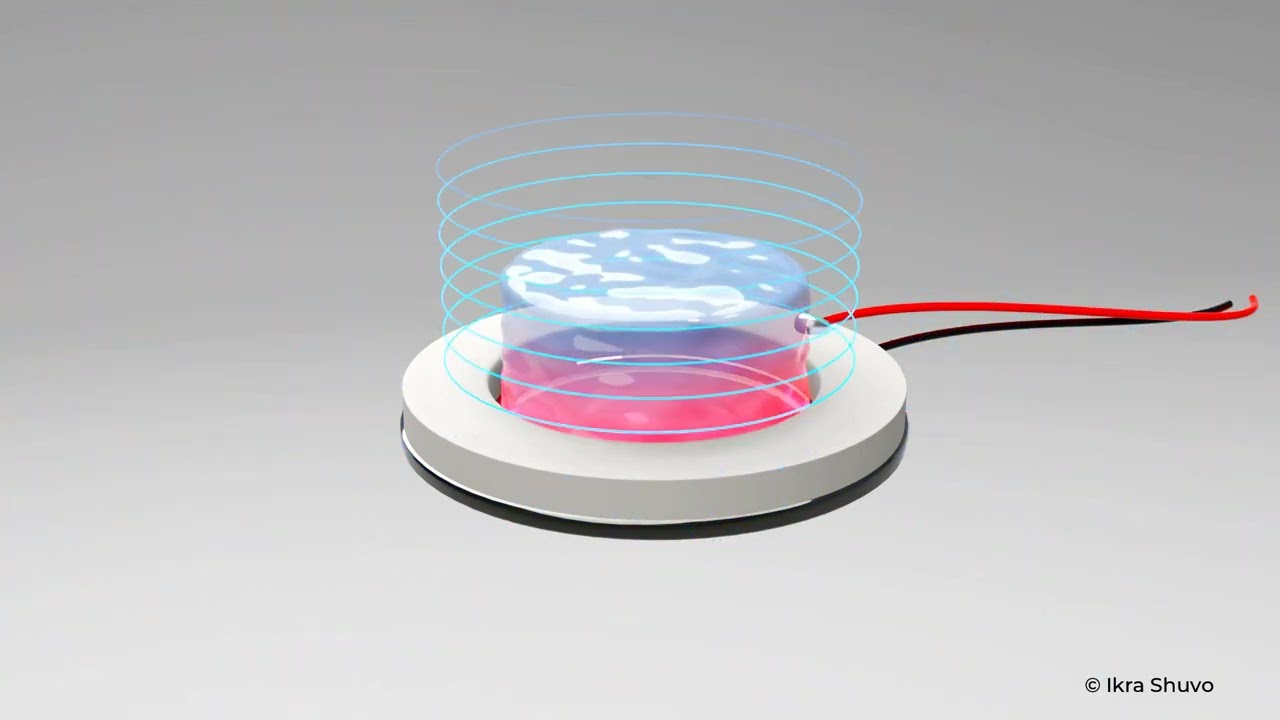 youtube video id=rX-A4WhYo0A