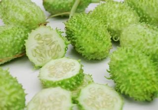 'Superalimento esquecido': descubra o vegetal, parente do pepino, que tem muitos benefícios para a saúde