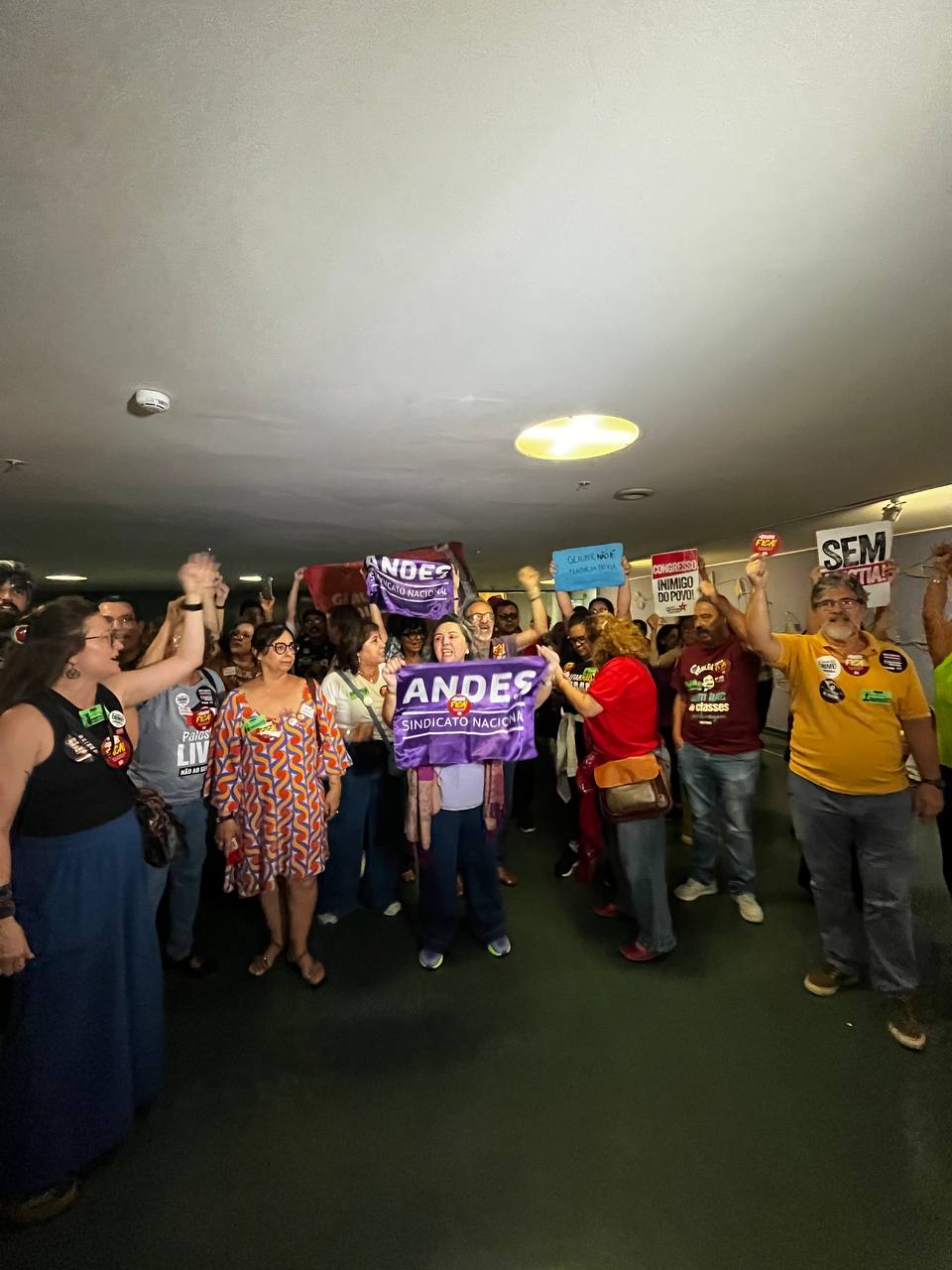 photo_5028806924778015606_y (1)