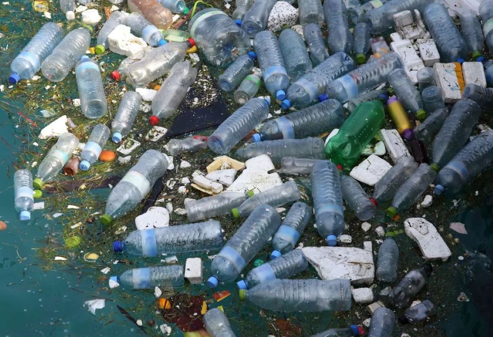 Estudo calculou poluição em mares, estuários, rios e manguezais. Crédito: Rosemary Calvert/Getty Images