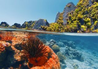 5 destinos virais que podem perder seu encanto devido ao turismo de massa (e sofrer um sério risco ecológico)