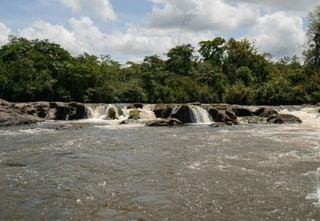 Amazônia registra a primeira Unidade de Conservação estadual do Brasil em programa internacional da Lista Verde