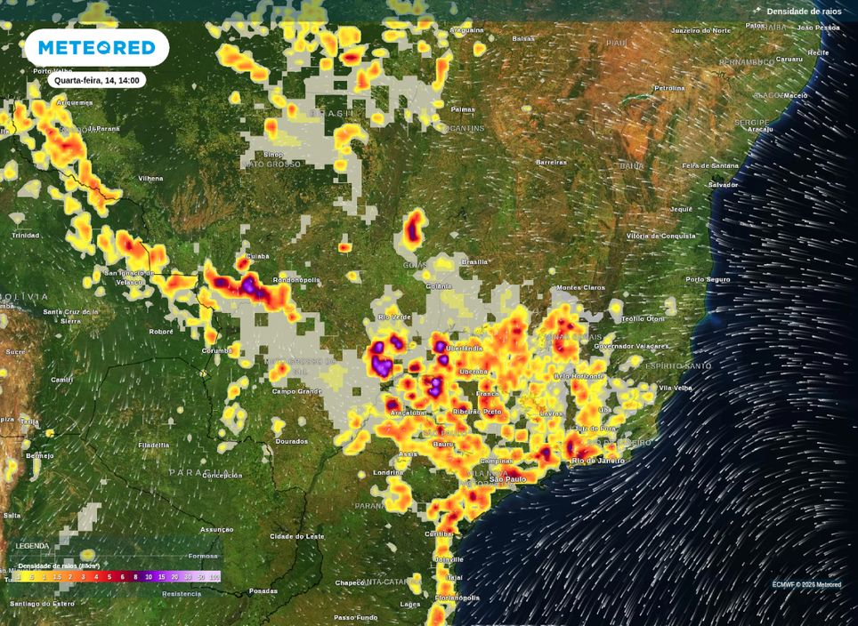 Mapa de densidade de raios apresenta áreas propícias a tempestades para o Sudeste e Centro-Oeste na tarde de quarta-feira (14), segundo o modelo ECMWF.
