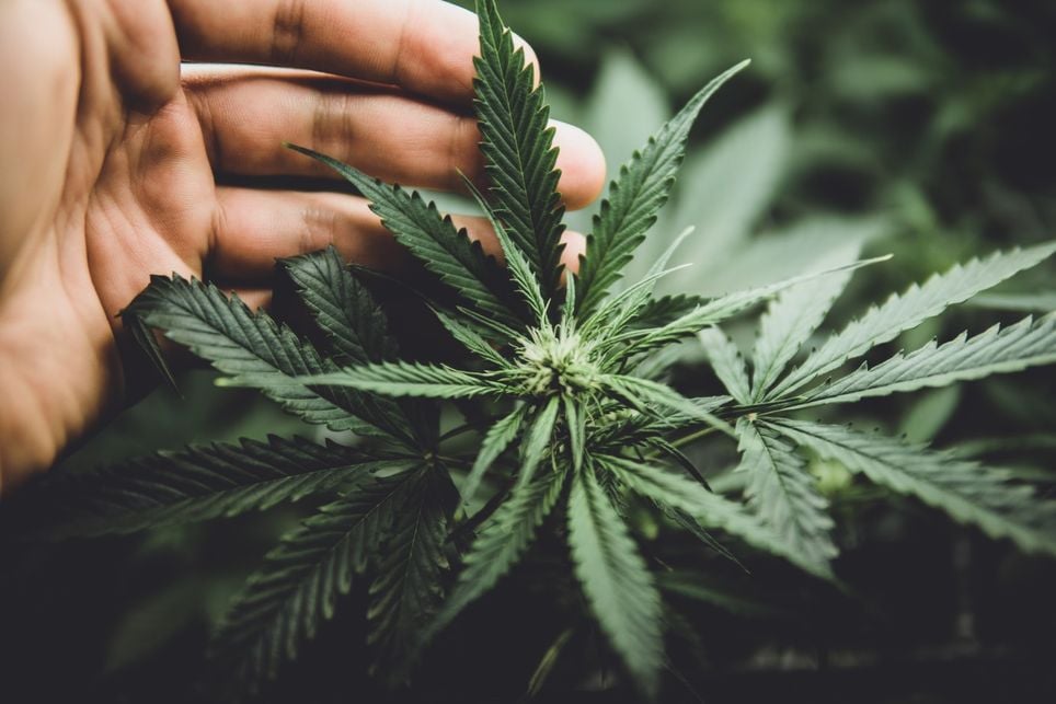 Clima controlado, clima, ambiente