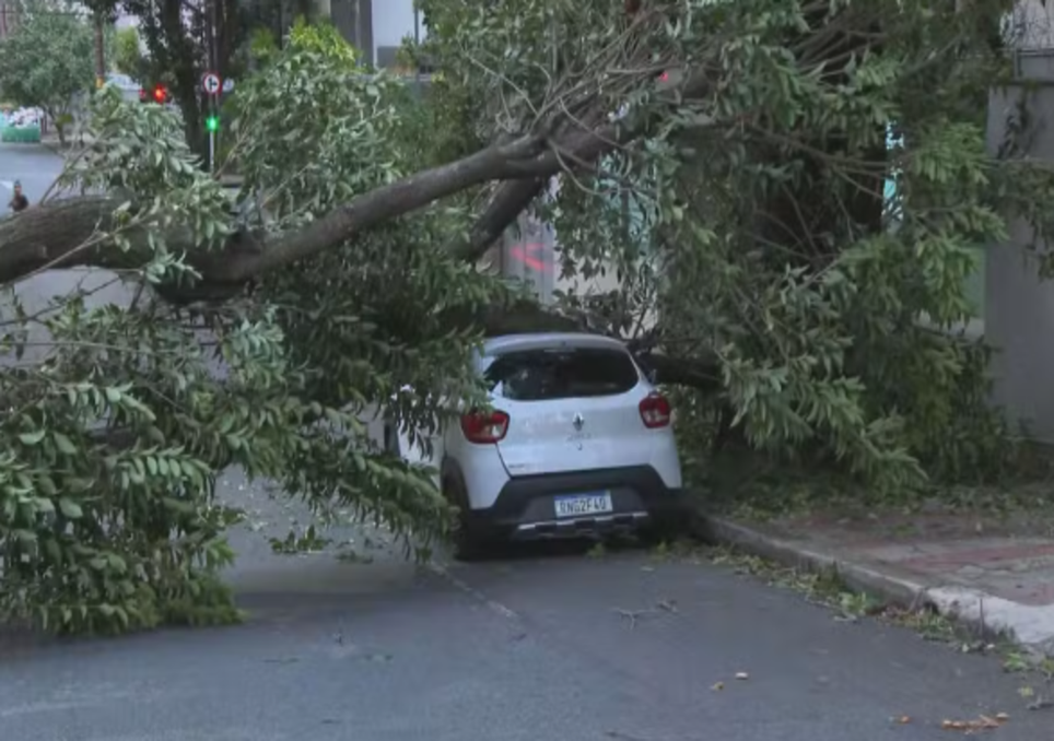 Após chuvas e ventos, árvore caiu sobre carro na Serra, em BH.