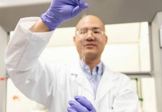 Cientistas criam novo hidrogel que imita a pele humana e se autorregenera