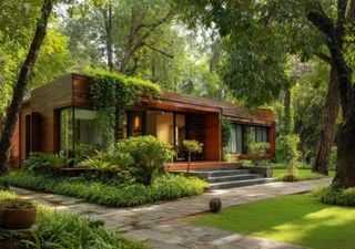 Cinco árvores que não devem ser plantadas perto de casa pois podem causar problemas de infraestrutura