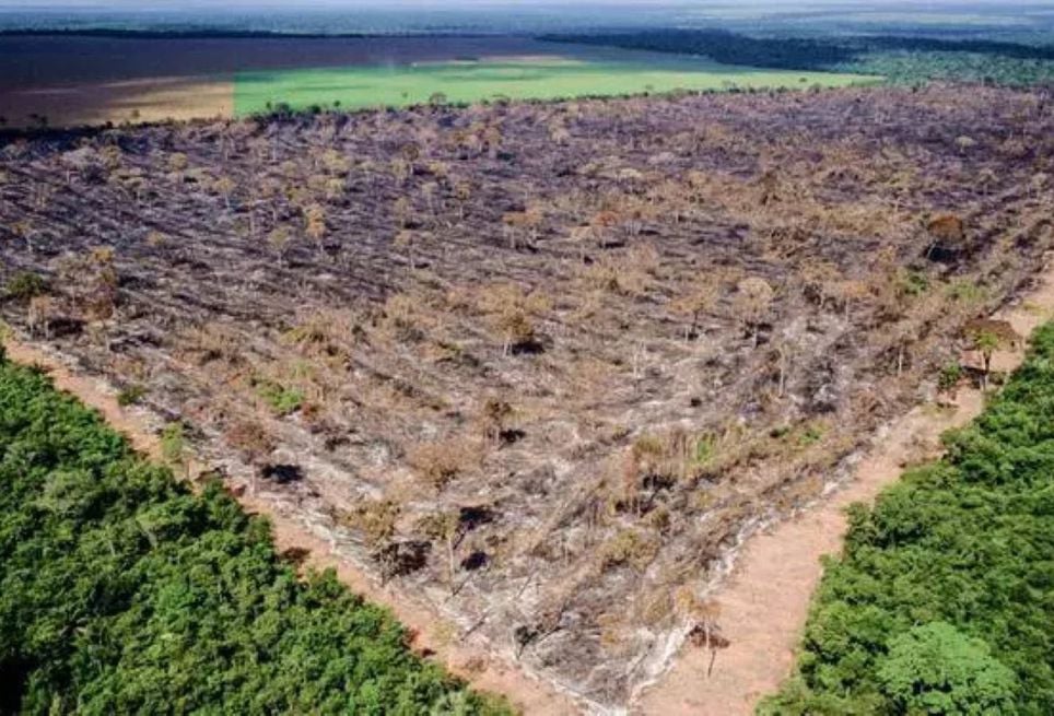 Área de floresta amazônica afetada pelo desmatamento. A expansão de atividades ilegais e a pressão por uso da terra seguem como desafios centrais para a conservação do maior bioma tropical do mundo. Crédito: Divulgação O Liberal (PA)
