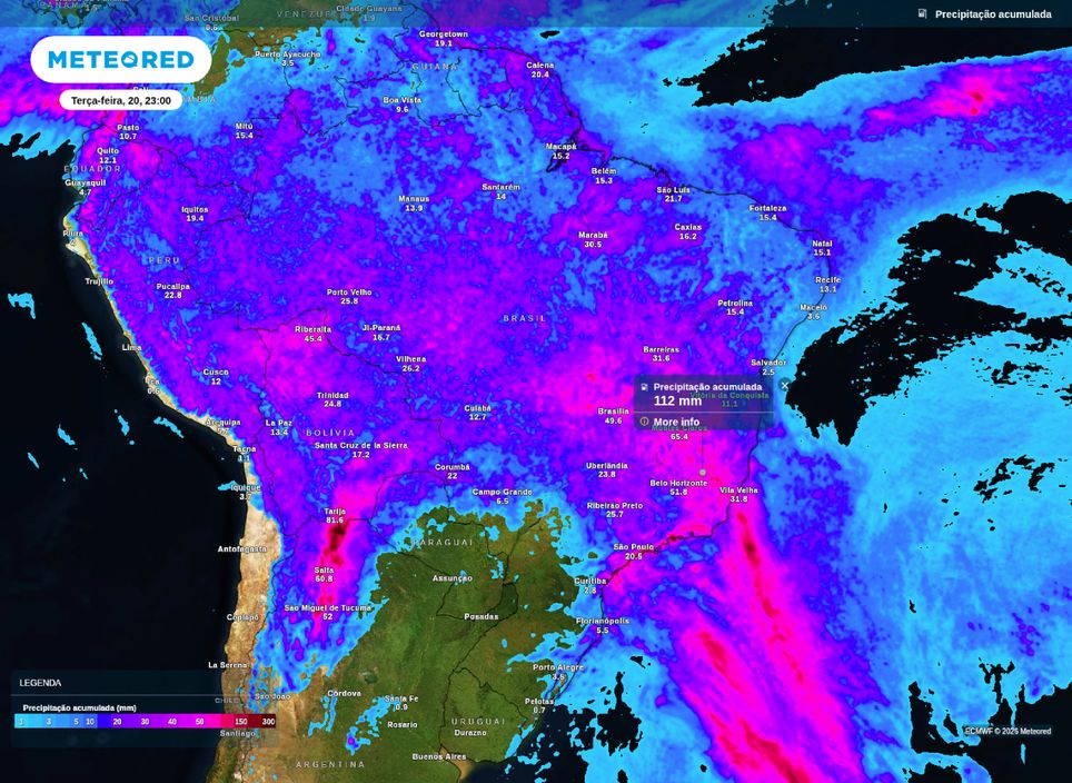 Precipitação acumulada até terça-feira (20).