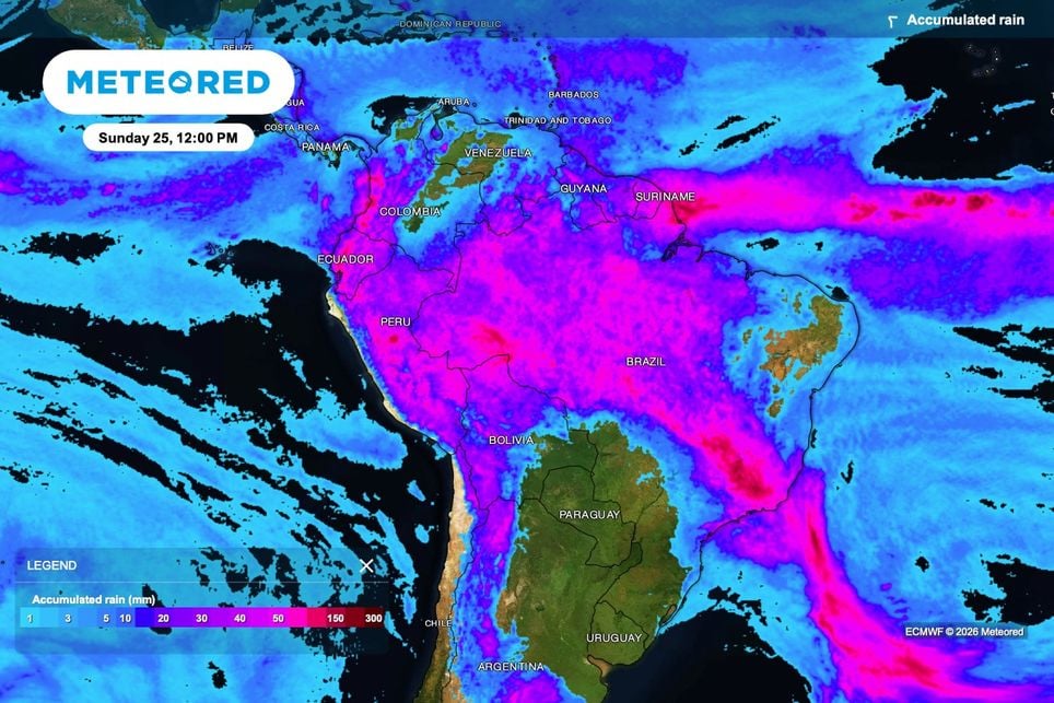 ECMWF, modelo, chuva