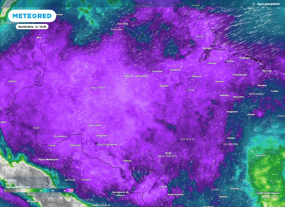 Água precipitável disponível para a tarde desta quinta-feira (12), segundo o modelo ECMWF.