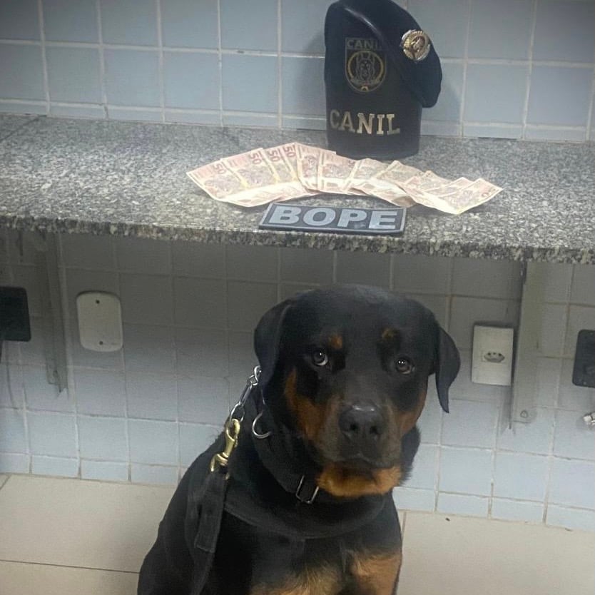 Homem é preso com R$ 600 em cédulas falsas e mandado de prisão em aberto