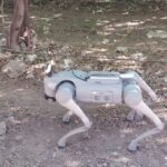 Este é o robô agrícola em forma de cachorro que percorre plantações e analisa as plantas com IA