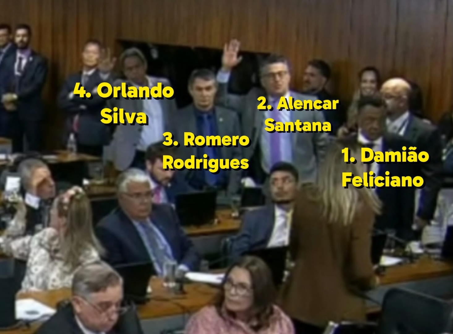 Imagens da TV Senado mostram 14 senadores e deputados membros da CPMI do INSS votando contra os requerimentos