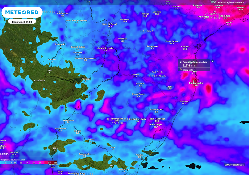 Previsão de chuva acumulada até o final do domingo (8), de acordo com o ECMWFM.