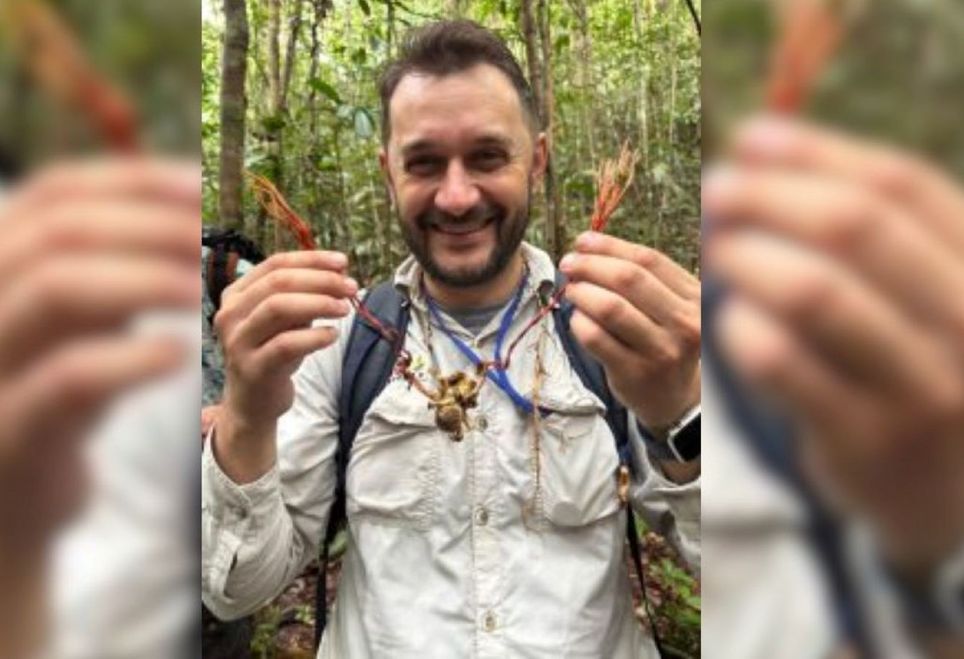 Pesquisador divulgou descoberta do “fungo do The Last of Us” em tarântula nas redes sociais Foto: Acervo pessoal/Agecom UFSC/ND Mais