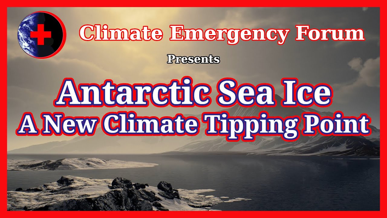 youtube video id=jvT5SFjfnuA