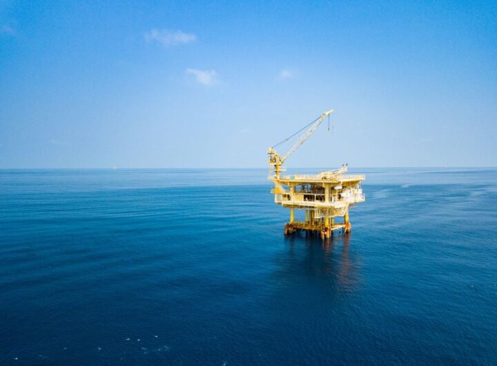 Cientistas descobrem centenas de novas espécies em região do Pacífico visada para mineração