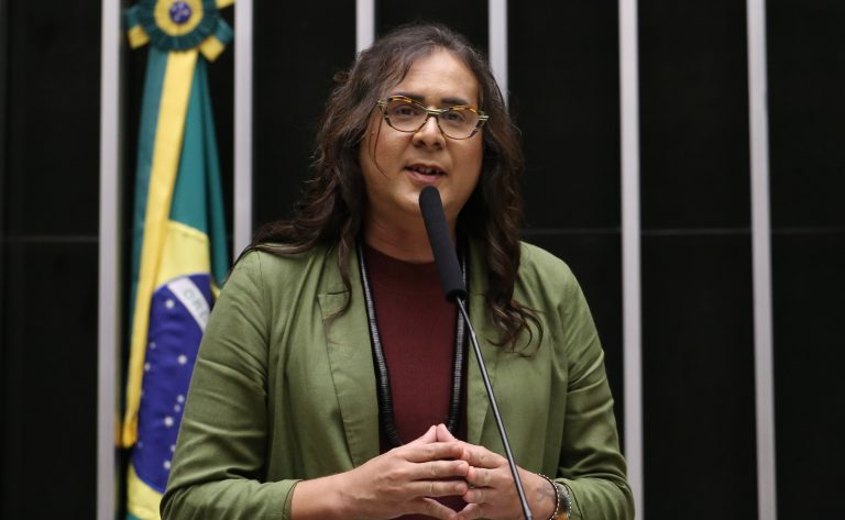 Discussão e votação de propostas legislativas. Dep. Duda Salabert (PDT - MG)